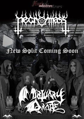 Necromass Mortuardy Drape promo web
