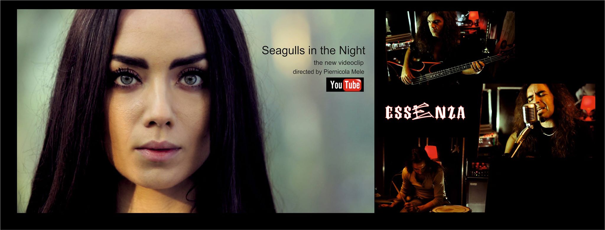 seagulls in the night essenza